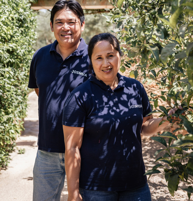 Can Joshua, Mallorca, private gym finca Mallorca daily cleaning finca Mallorca, breakfast included villa Mallorca, historic-style finca modern comfort sea view finca Mallorca